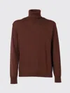 Ballantyne Turtleneck Wool Pullover In Brown