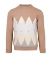 Ballantyne Sweaters In Brown