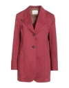 Ballantyne Woman Blazer Burgundy Size 6 Cotton, Elastane In Red