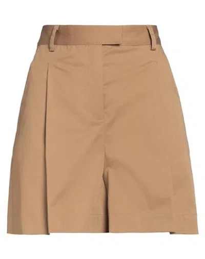 Ballantyne Woman Shorts & Bermuda Shorts Light Brown Size 4 Cotton, Elastane In Brown