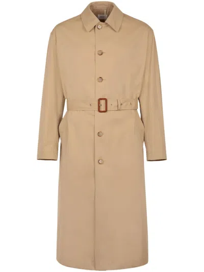 Bally Belted Single-breasted Trench Coat In Brown
