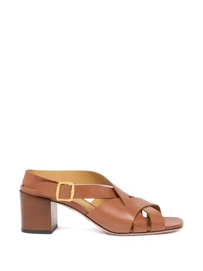 Bally Essence Buckled Sandals64 In Brown