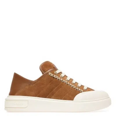 Bally Marily Calf Suede Sneakers In Multi
