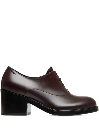 Bally Peggy Oxford Shoes In Brown