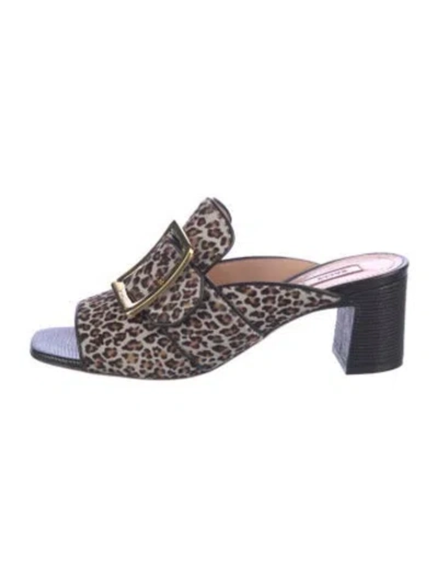 Pre-owned Bally Ponyhair Animal Print Mules In Brown