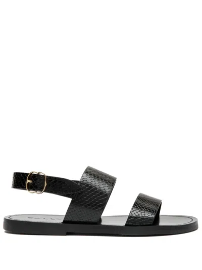 Bally Python Printed Leather Sandals In Black