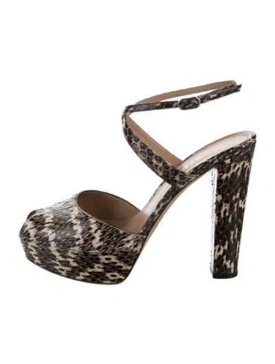 Pre-owned Bally Snakeskin Animal Print Pumps In Black