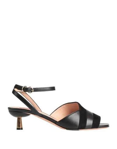 Bally Woman Sandals Black Size 7 Lambskin In Black