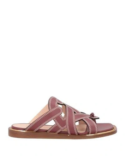Bally Woman Thong Sandal Chocolate Brown Size 7.5 Cow Leather