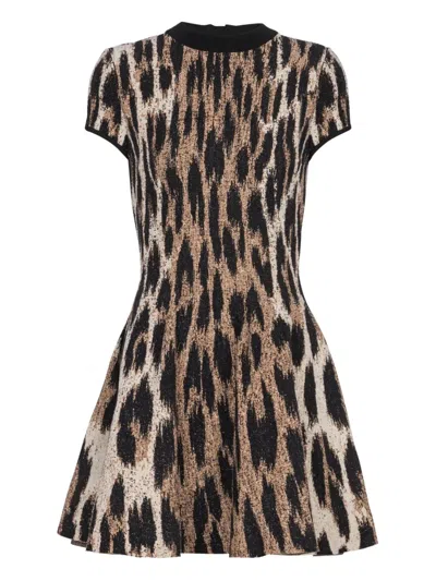 Balmain Flared Dress In Jacquard Knit With Leopard Print In Brown
