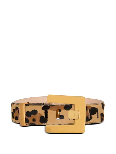 Balmain Anthem Belt In Brown
