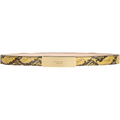 Balmain Belt In Yellow