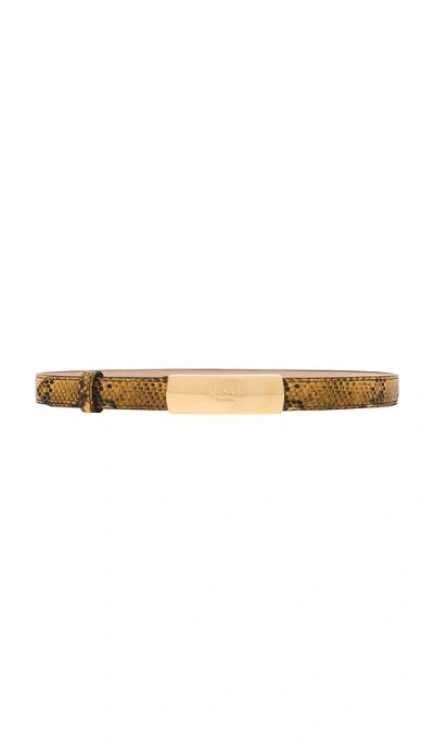 Balmain Calfskin Embossed Python 2cm Belt In Brown