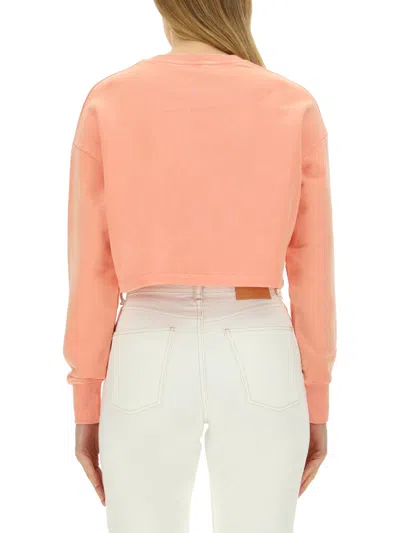 Balmain Cropped Logo Cotton Sweatshirt In Pink