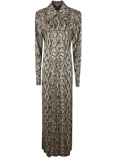 Balmain Viscose Chemisier Dress With Python Print In Multi