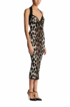 Balmain Halterneck Leopard Print Jacquard Bodycon Dress In Black