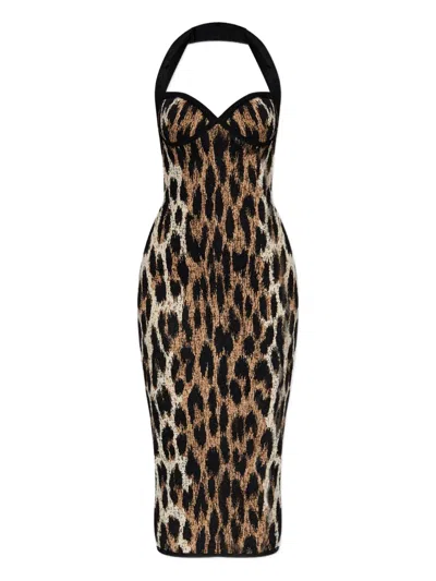 Balmain Halterneck Leopard-print Midi Dress