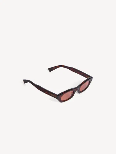 Balmain Johan Sunglasses In Brown