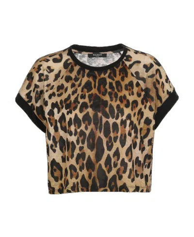 Balmain Leopard-print Cropped T-shirt In Black