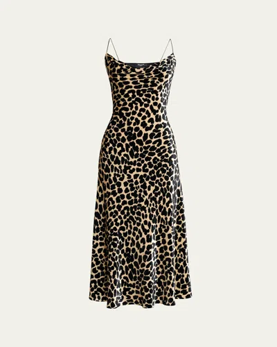 Balmain Leopard Velvet Dress In Multi