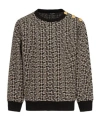 Balmain Long-sleeved Sweater In Gold