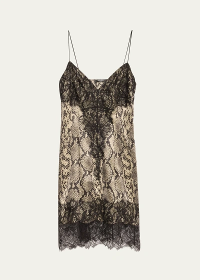 Balmain Python Print And Lace Silk Mini Dress In Gris Clair