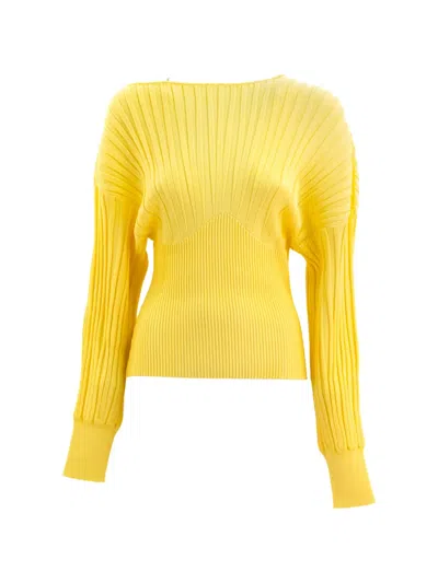 Balmain Ribbed Sweater In Yellow