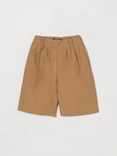 Balmain Shorts  Kids Color Brown