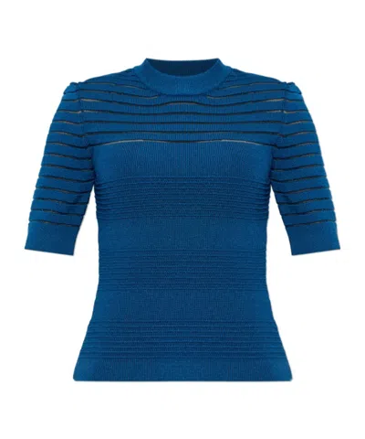Balmain Sheer-panelled Lion-head Top In Blue