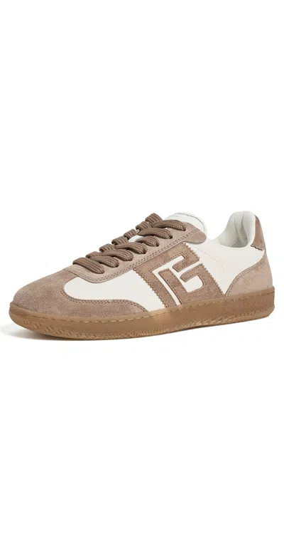 Balmain Swan Sneakers Taupe/blanc In Brown