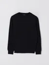 Balmain Logo-embroidered Sweatshirt In Black
