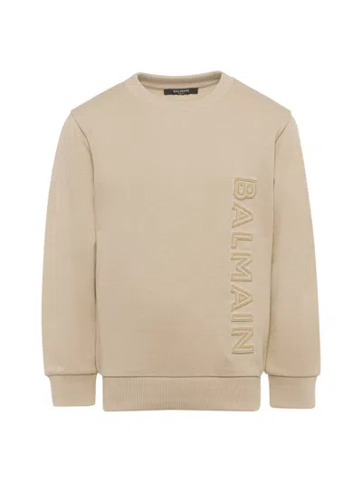 Balmain Sweatshirt In Neutral