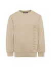 Balmain Sweatshirt In Brown