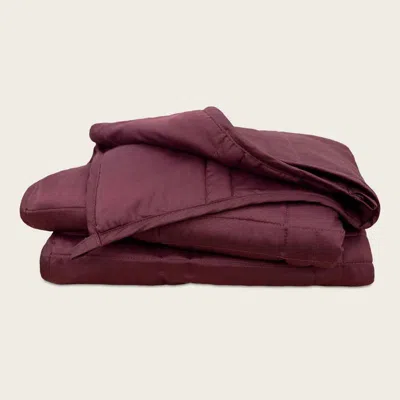 Baloo Living Weighted Blanket In Burgundy