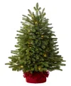 Balsam Hill 2.5 Ft Fraser Fir Pre-lit Tabletop Tree In Green