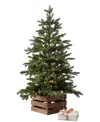 Balsam Hill 3 Ft Country Farm Pre-lit Fir Tree In Green