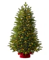 Balsam Hill 3.5 Ft Fraser Fir Pre-lit Tabletop Tree In Green