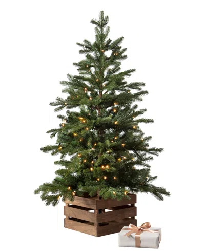 Balsam Hill 4 Ft Country Farm Pre-lit Fir Tree In Green