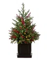 Balsam Hill 4 Ft Outdoor Berry Pre-lit Potted Tree In Green