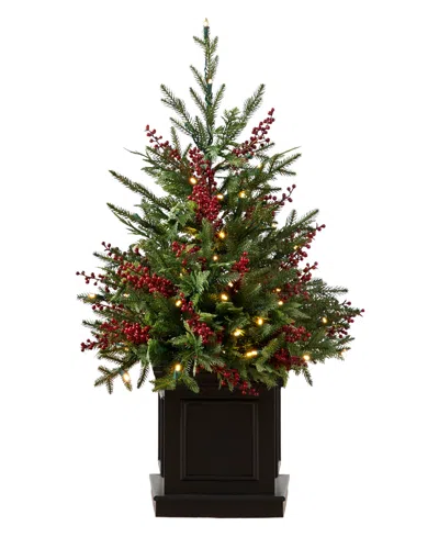 Balsam Hill 4 Ft Outdoor Berry Pre-lit Potted Tree In Green