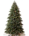 Balsam Hill 6.5 Ft Pre-lit Colorado Mountain Spruce Tree In Green