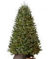 Balsam Hill 6.5' Pre-lit Fraser Fir Ledc Artificial Christmas Tree In Green