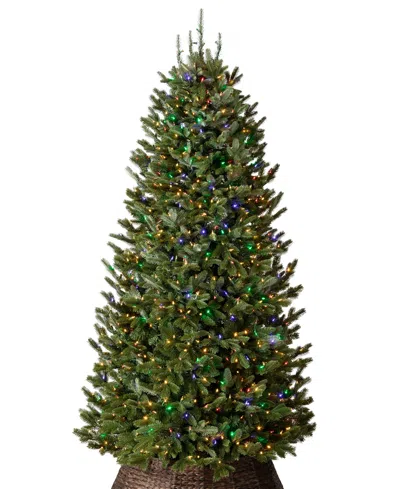 Balsam Hill 7.5 Ft Pre-lit Fraser Fir Narrow Tree In Green