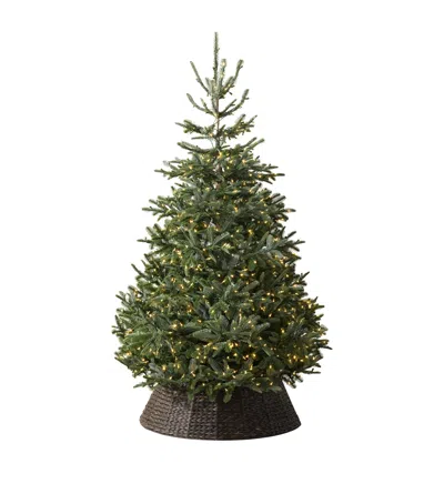 Balsam Hill Bh Nordmann Fir Clear Led Green Tree