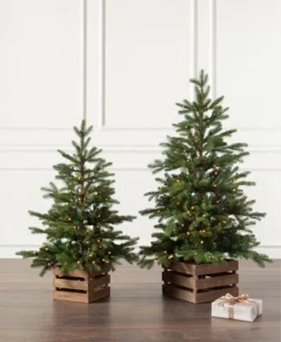 Balsam Hill Country Farm Pre Lit Fir Tree Collection In Green