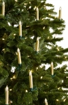 Balsam Hill Gold Color-changing Christmas Tree Candle Set In Green