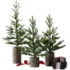 Balsam Hill Lit Evergreen Saplings Set Of 3 Tabletop Trees In Green