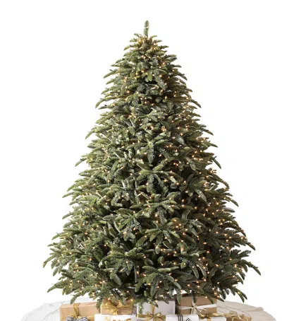 Balsam Hill Noble Fir Christmas Tree In Green