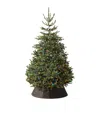 Balsam Hill Nordmann Fir Led Christmas Tree In Multi