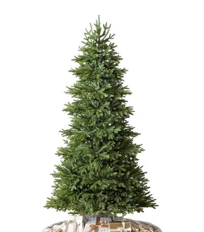 Balsam Hill Norway Spruce Christmas Tree In Green